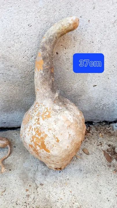 Disponível para venda 