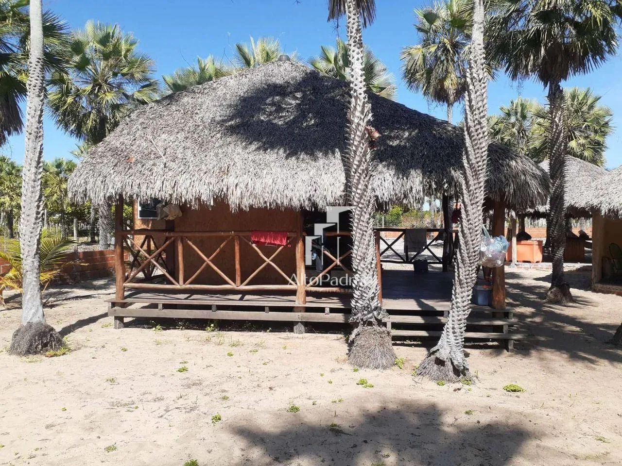 Sítio/Chácara à Venda - Cajueiro da Praia/PI - Foto 2
