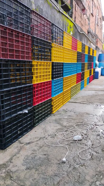 Cestas Plásticas para Organização
