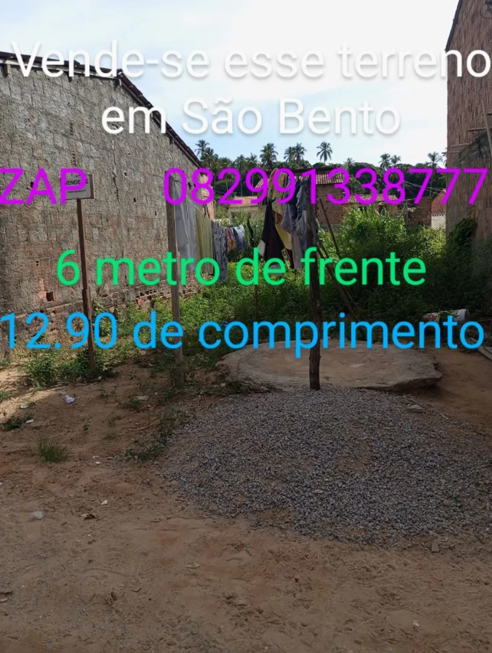 Sim