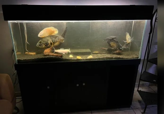 Aquário 360 litros com Sump - Completo