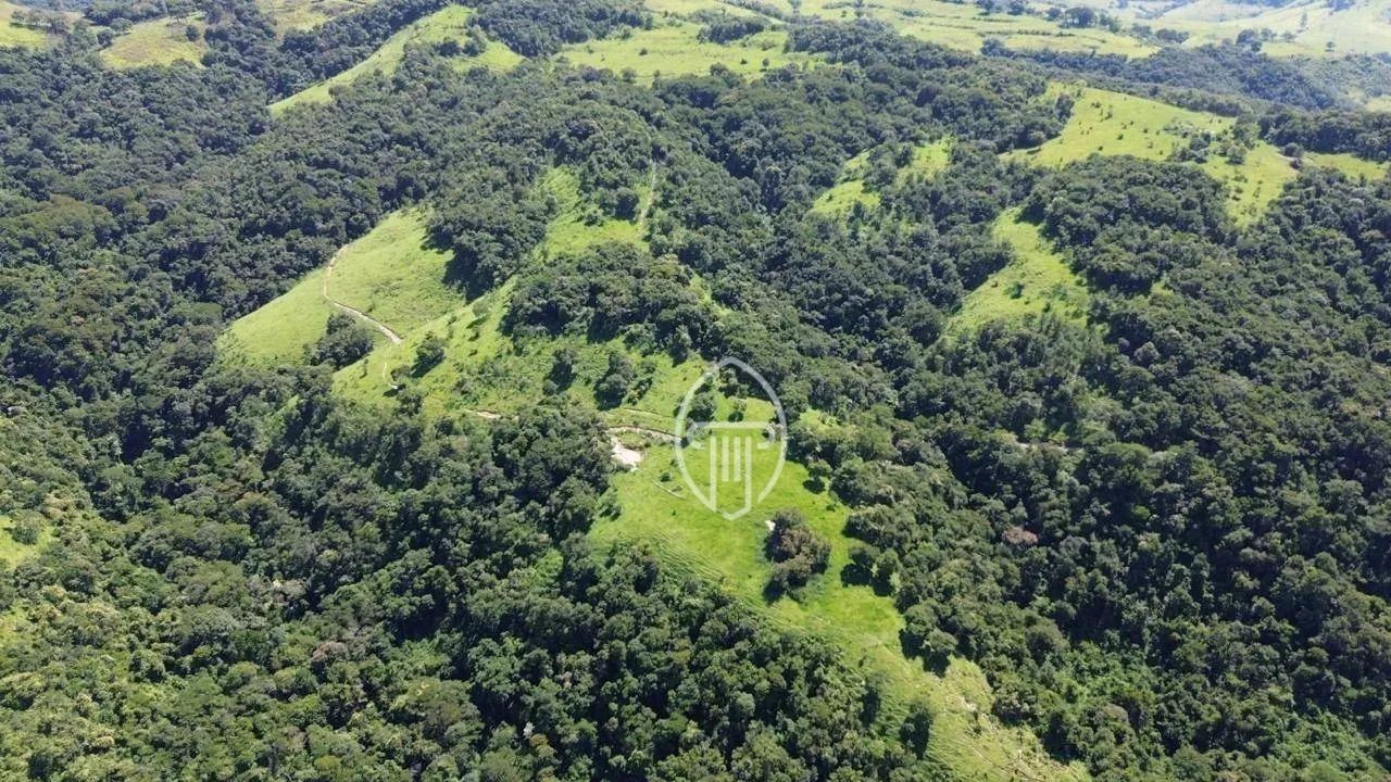 FAZENDA À VENDA EM FAXINAL  PR - Foto 4