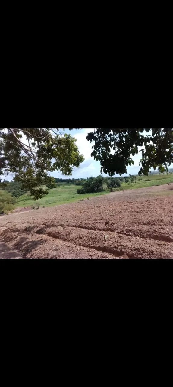 GRAJA EM PRÓXIMO HÁ ALHANDRA - Foto 4