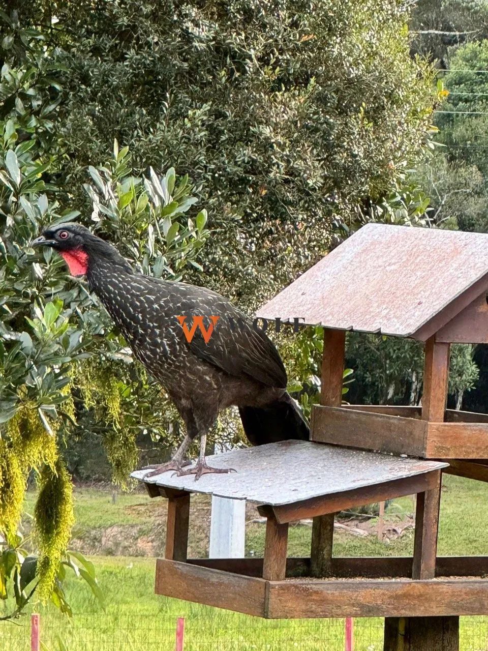 Casa em Condomínio Fechado - Rancho Queimado - Foto 5