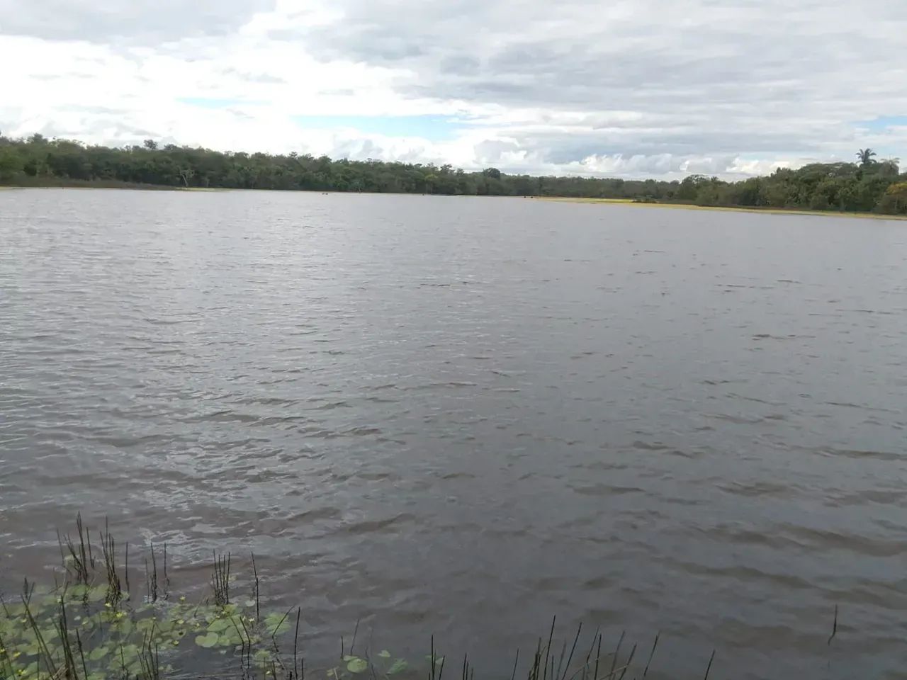 Fazenda a vemda, em Vale do Araguaia - Tocantins - Foto 4