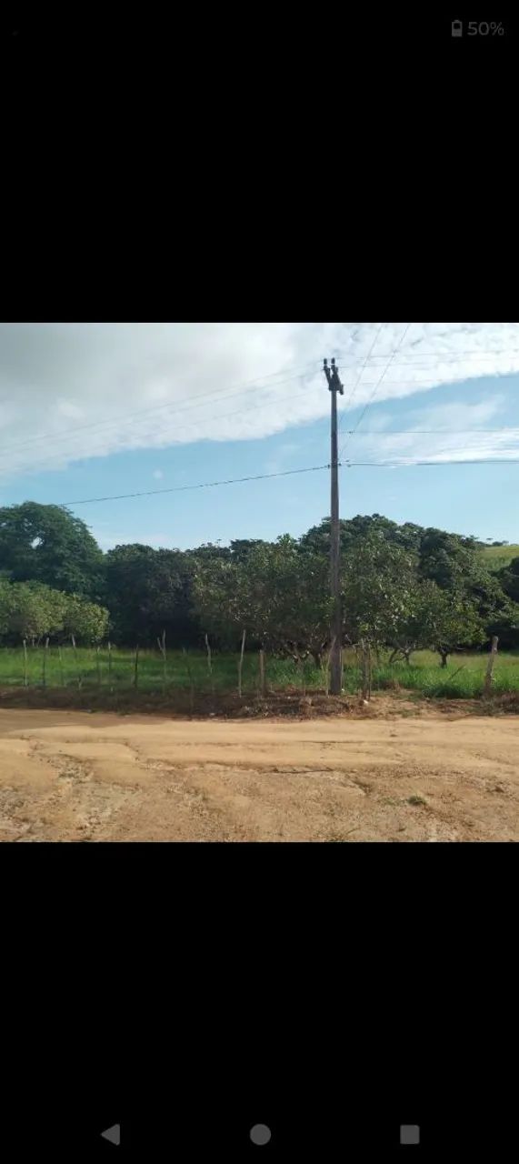 Vendo ótimo sitio - Foto 4