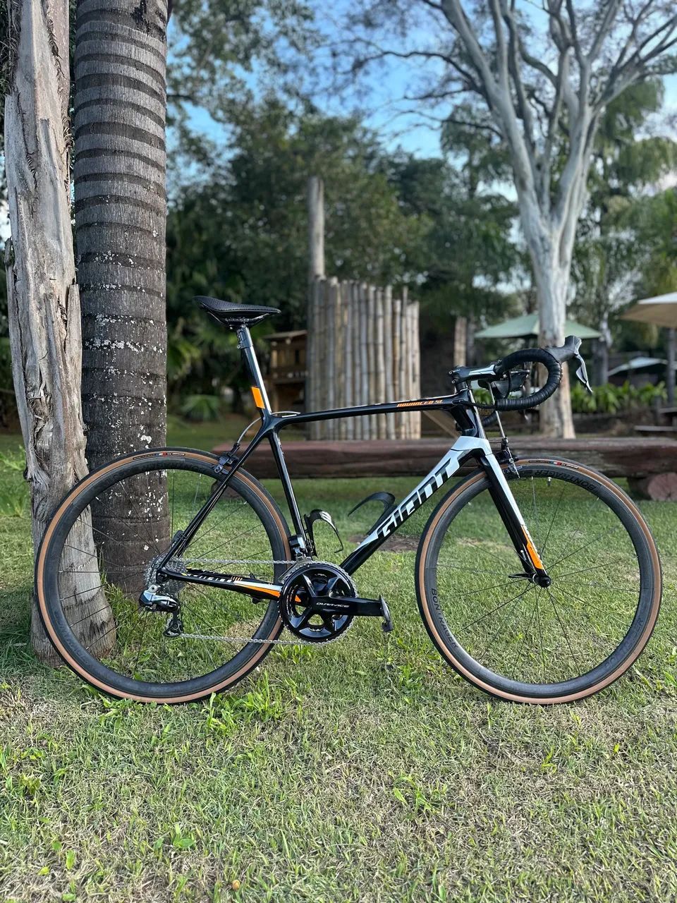 Bicicleta Giant TCR Advanced SL