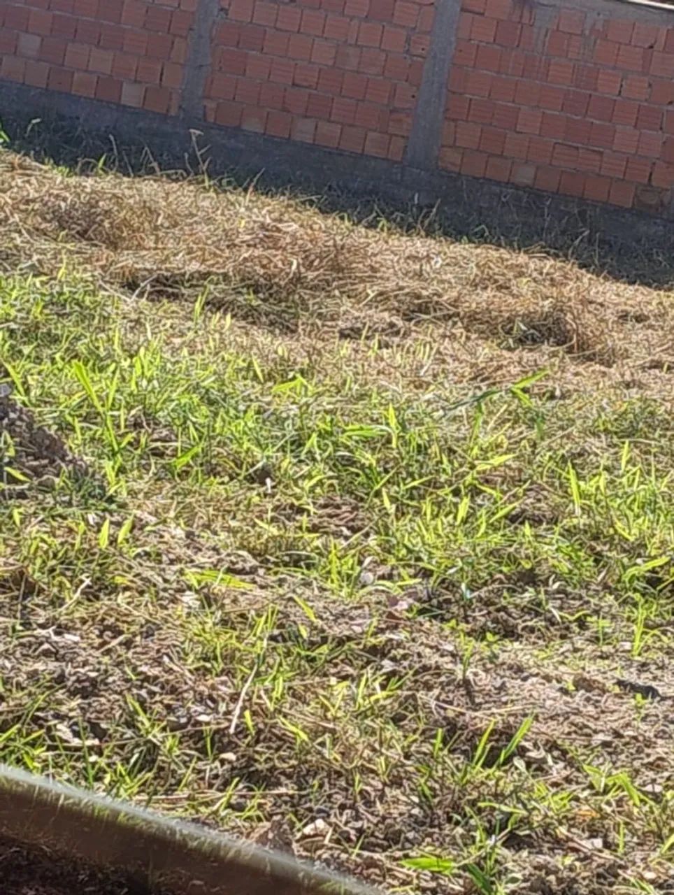 TERRENO a VENDA BARRA  VELHA 
