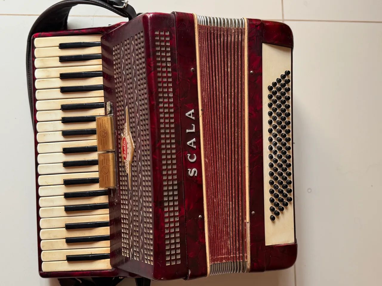 Acordeon - Gaita 