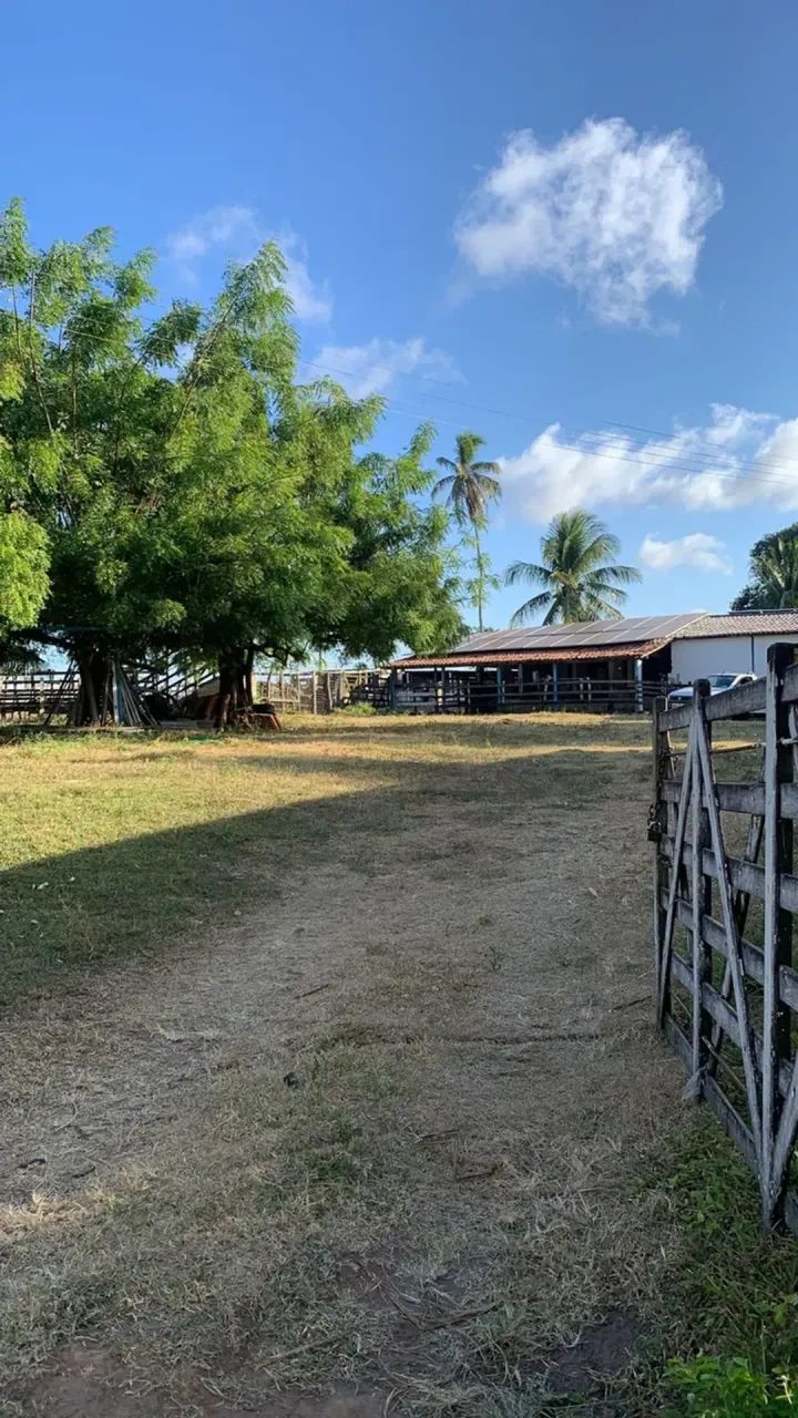Fazenda com 30 hectares no vale de Ceará mirim - Foto 2