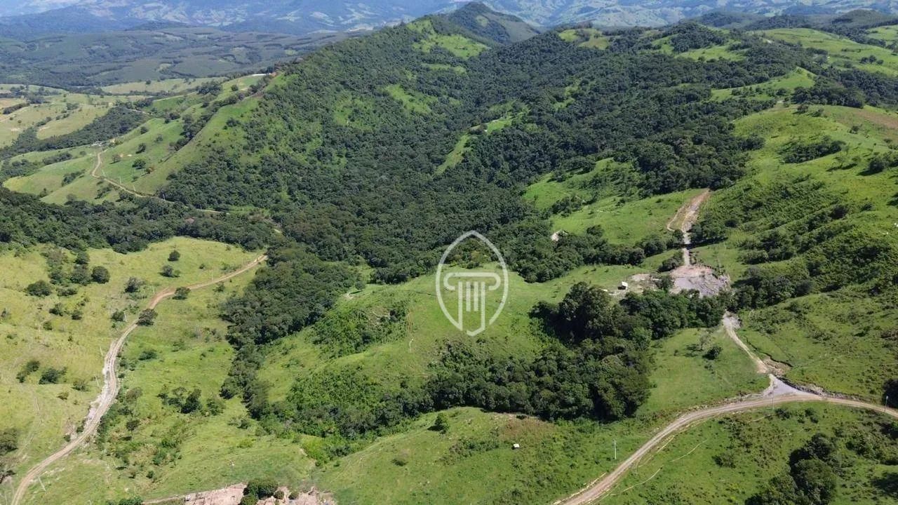 FAZENDA À VENDA EM FAXINAL  PR - Foto 5