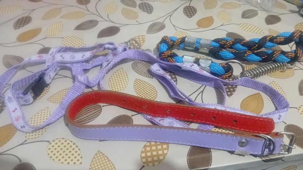 Pra cachorro - Foto 3