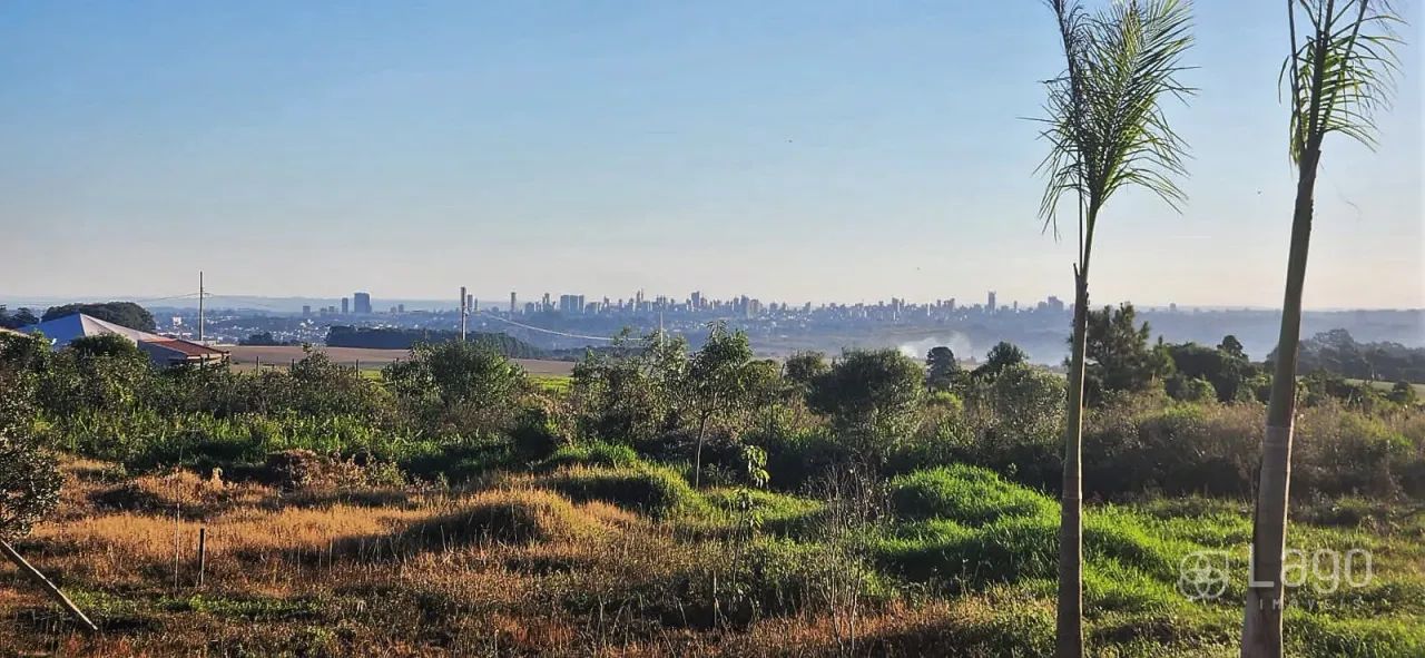 Chácara à venda em Uvaranas - Foto 3