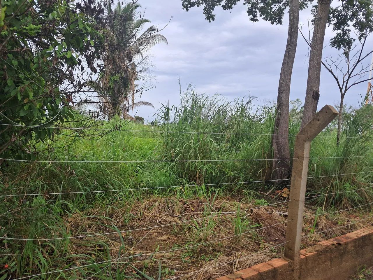 TERRENO EXCLUSIVO COM 5.000 m² | DOCUMENTAÇÃO 100% REGULAR  - Foto 10