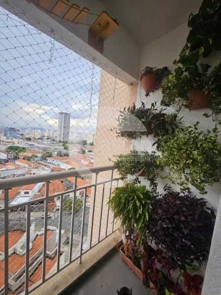 Apartamento em Mooca - Foto 3