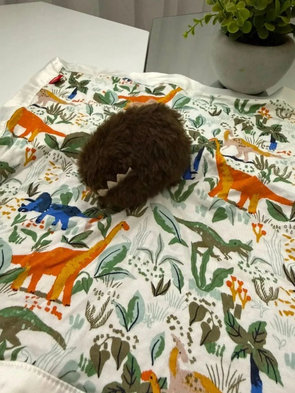 naninha de dinossauro - Foto 2