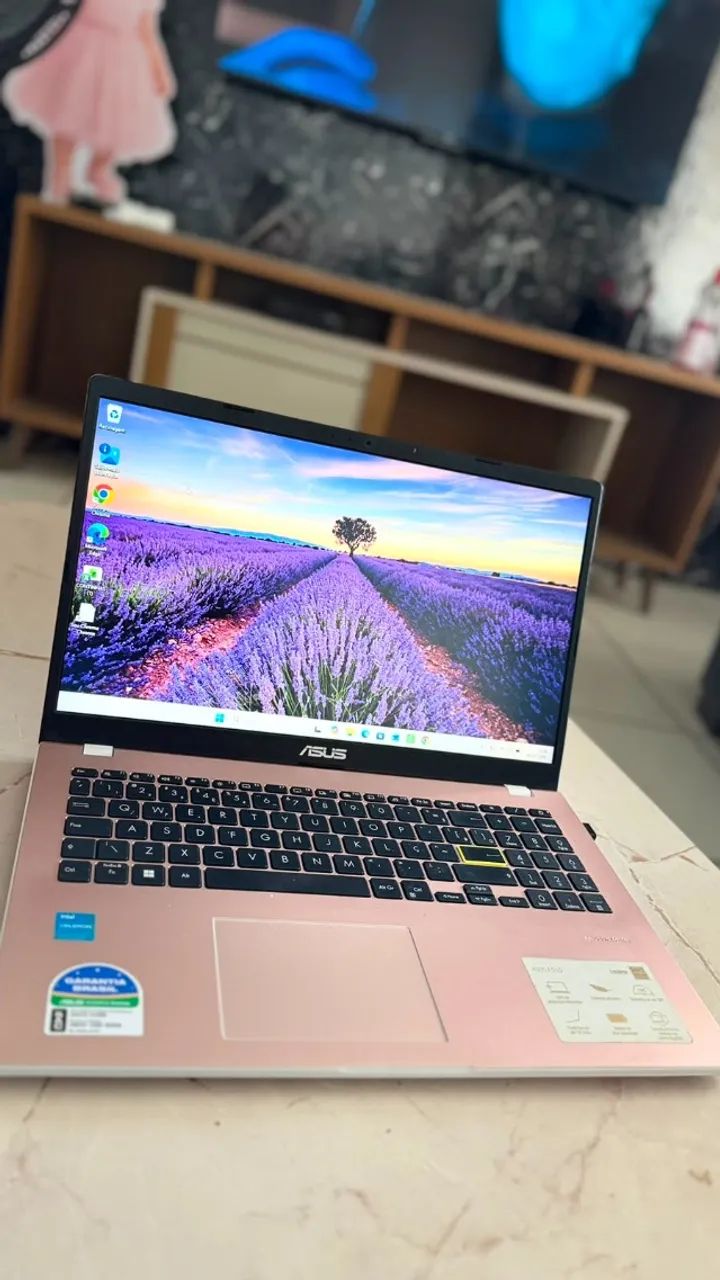 Notebook ASUS VivoBook E510KA - Muito Conservado