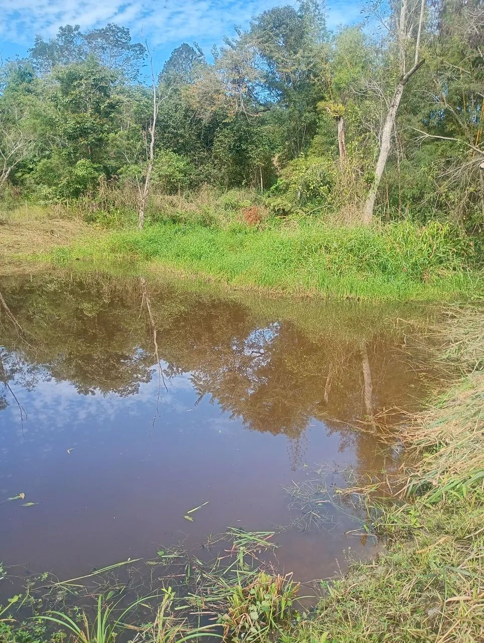 Área com 5000m2 e lago com Aprox. 800m2 sem casa  - Foto 5