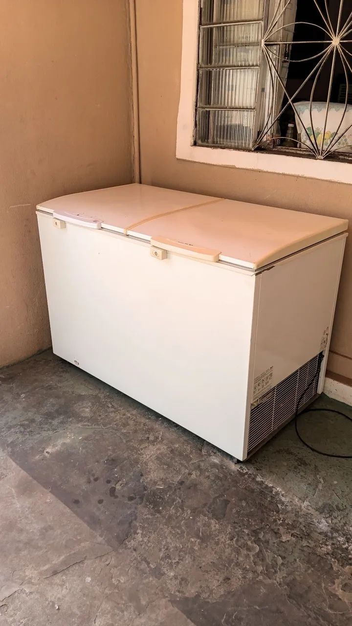 Freezer Horizonte Electrolux 