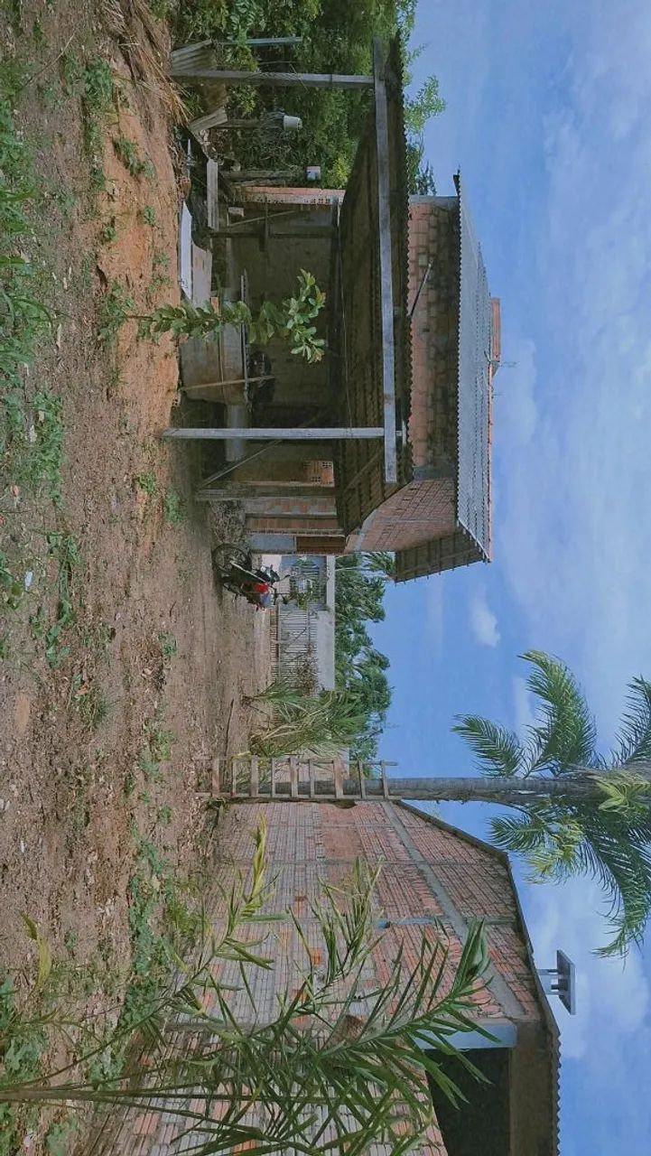 Foto - Santarém - Interventoria