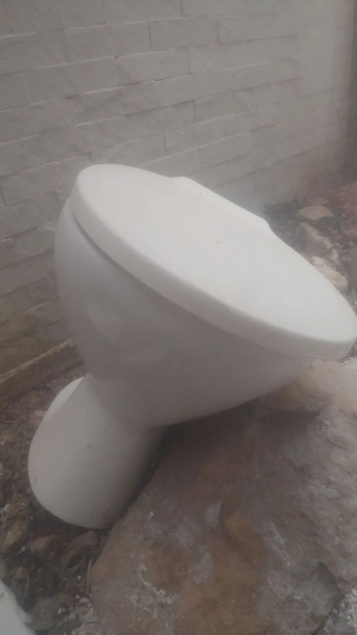 Sanitário - Foto 2
