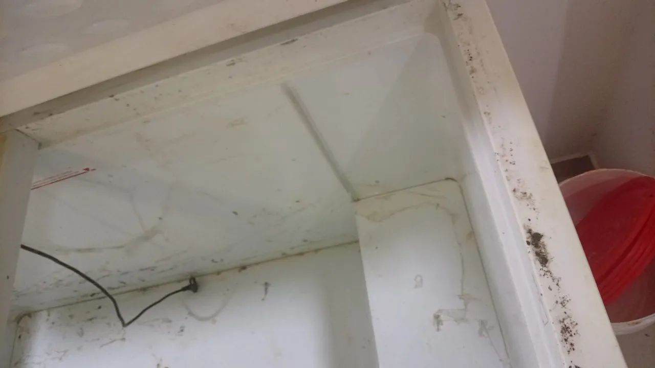 Freezer 500 L