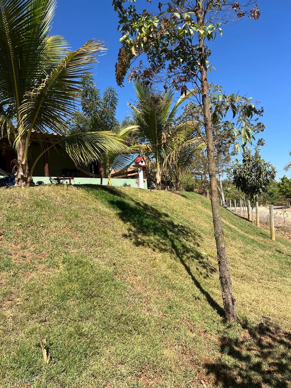 Sítio em Martinho Campos  - Foto 5