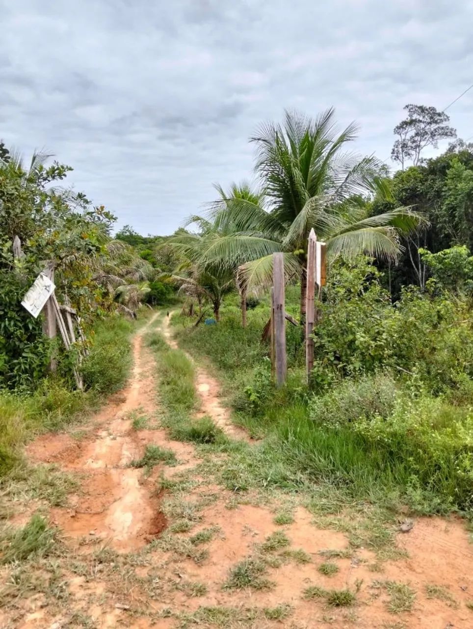 Sítio no Rio preto da Eva  - Foto 4