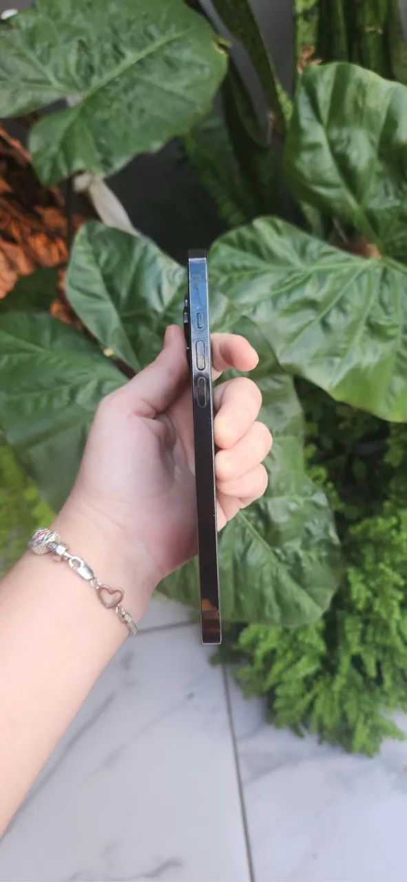 iPhone PRO MAX  256gb - Foto 3