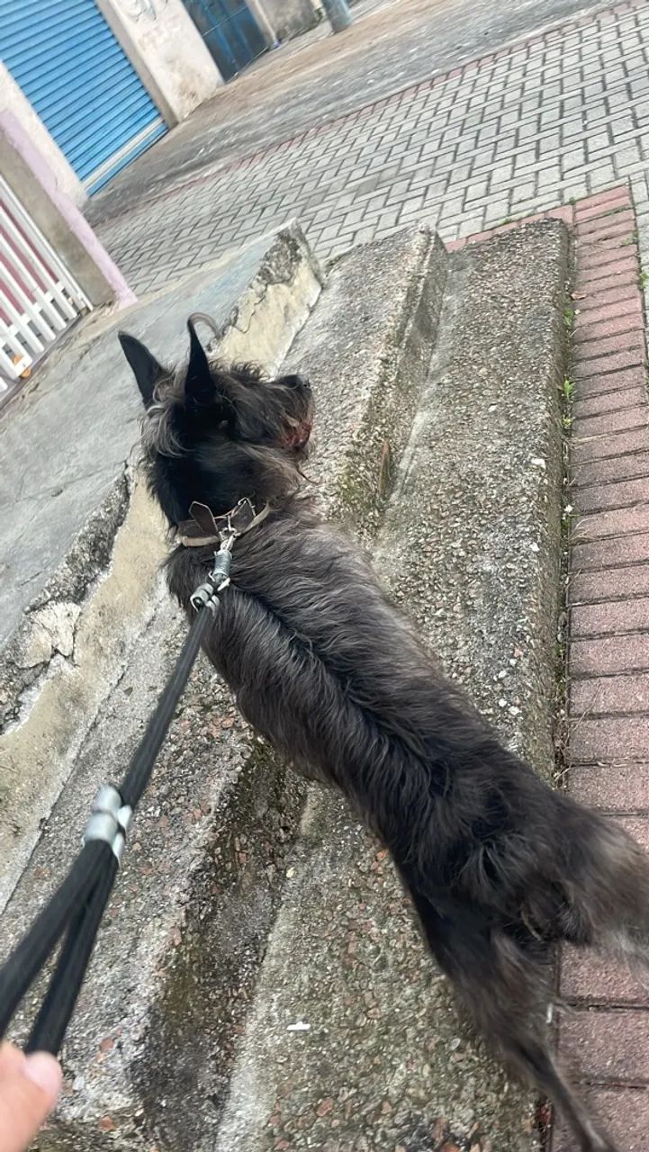 Doação 