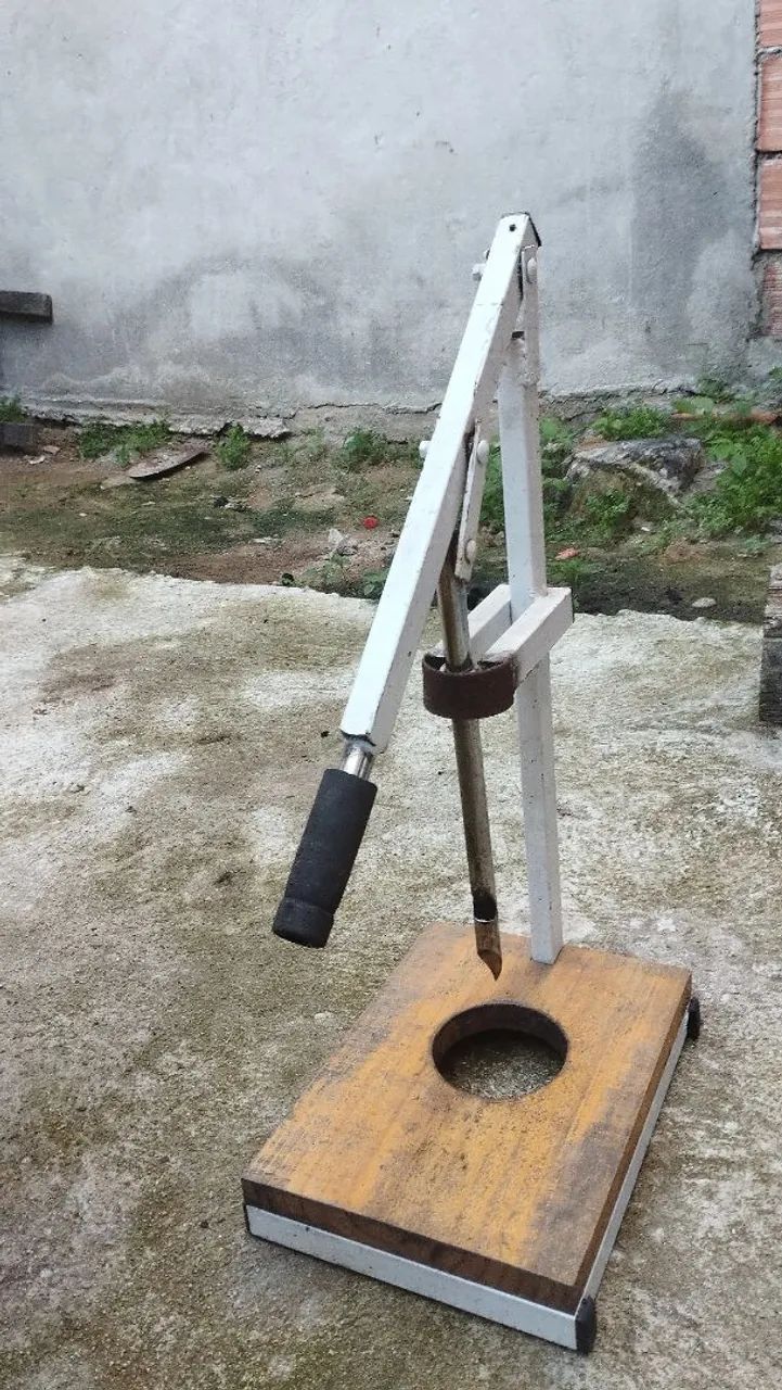 Carinho de cocô  - Foto 4