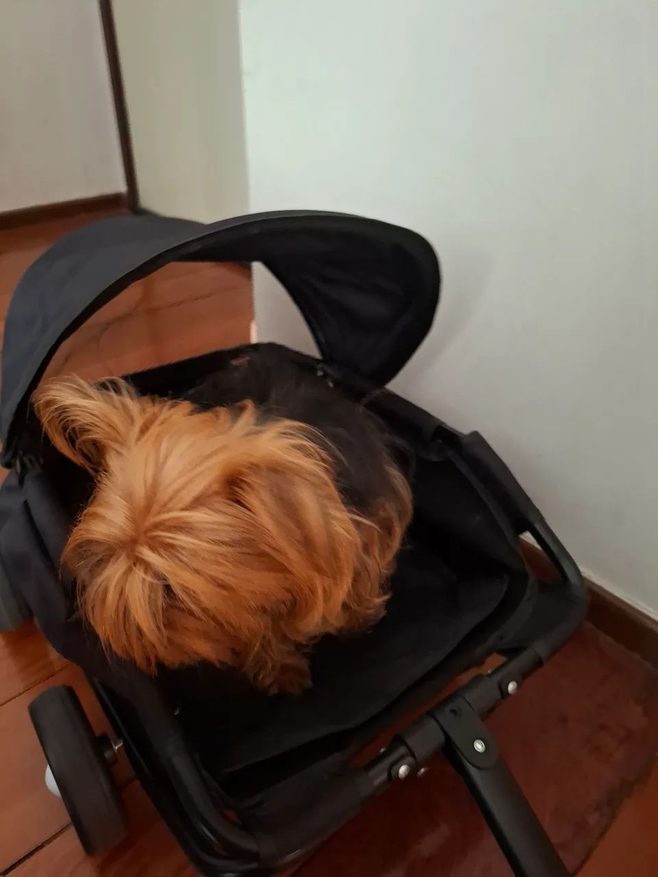 Carrinho de passeio para pets