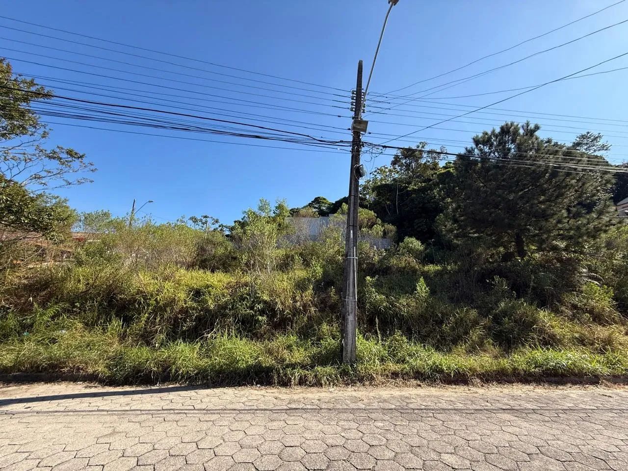 Lote / Terreno em Forquilhas - São José - Foto 3