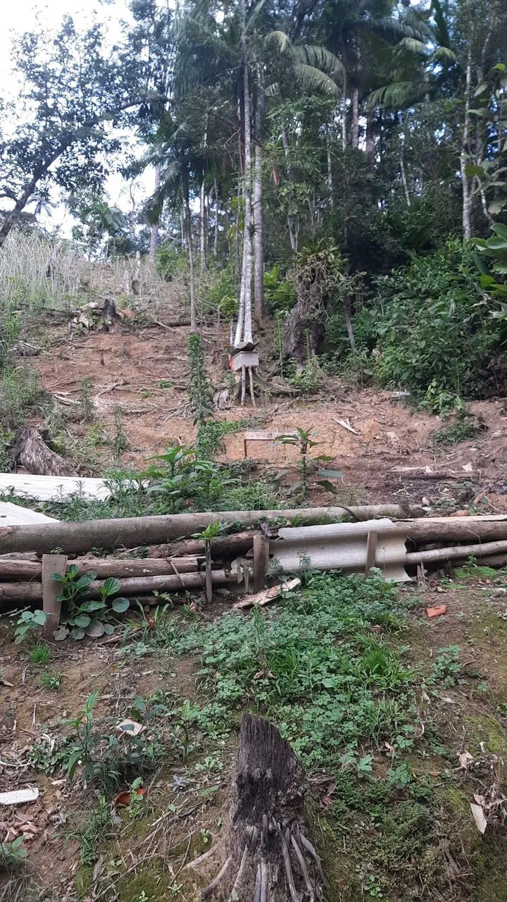 Chácara em aguas mornas - Foto 5