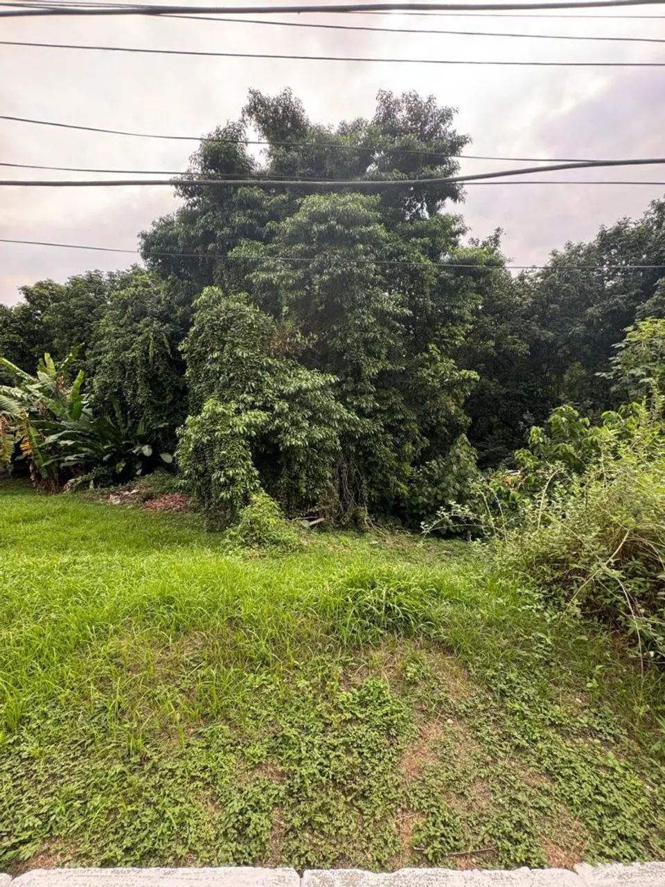 TERRENO CONDOMÍNIO BUGANVÍLLIA  - Foto 4