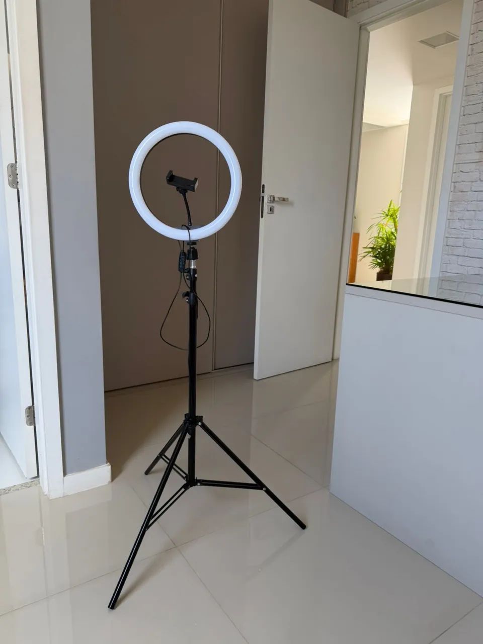 Luz (RingLight) Alta
