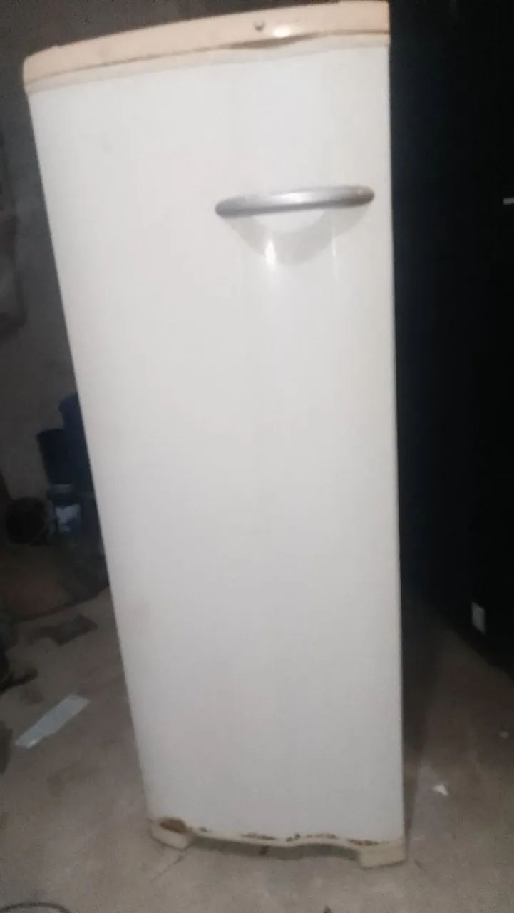 Freezer vertical Eletrolux super
