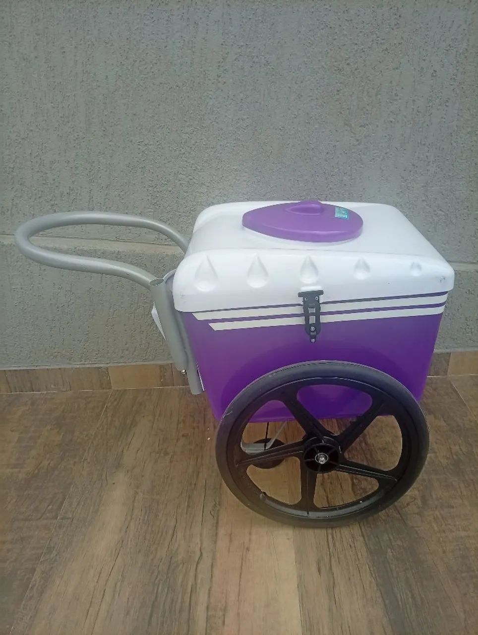 Carrinho de Picolé 
