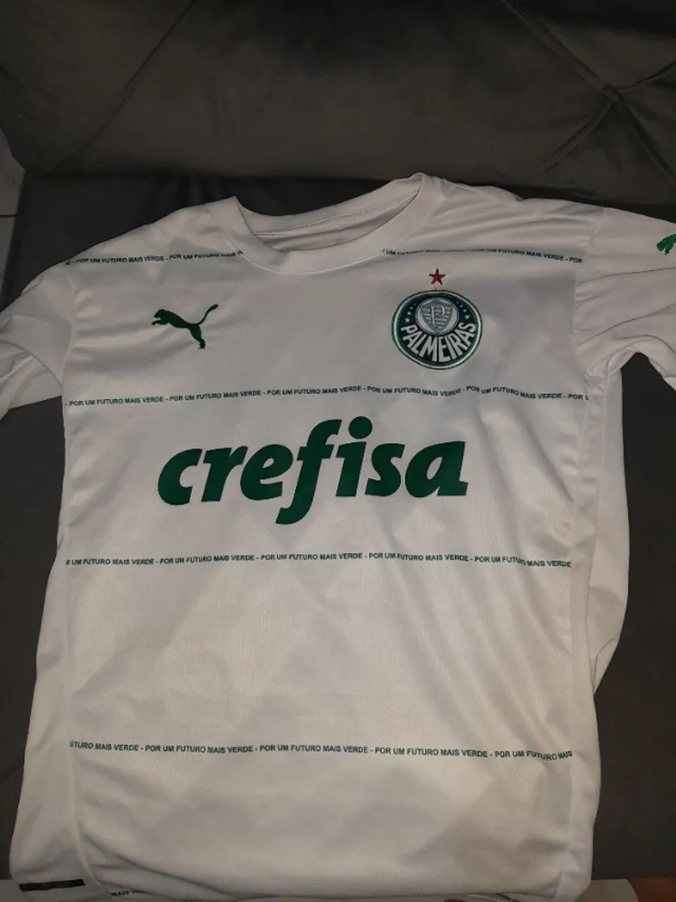 CAMISETA PALMEIRAS - Foto 2