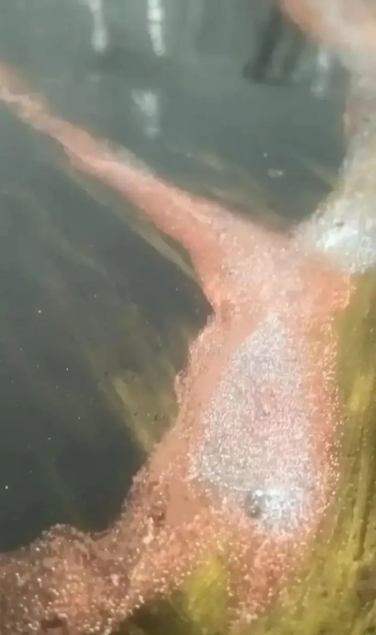 Piso Porcelanato Líquido Premium Alto Padrão  - Foto 3