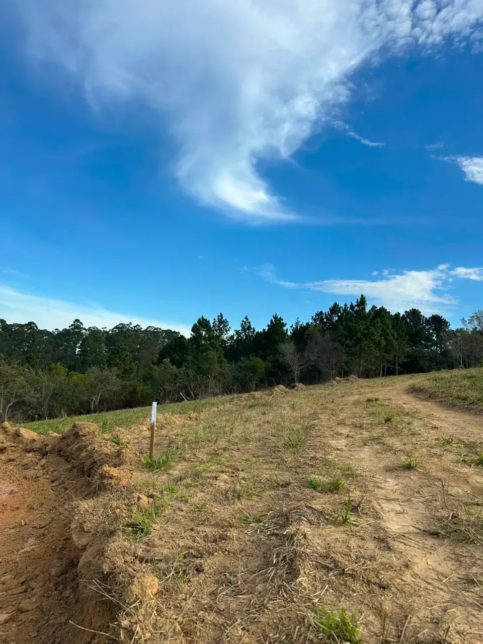 Chácara dos sonhos: 1000m² com nascente natural - Foto 4