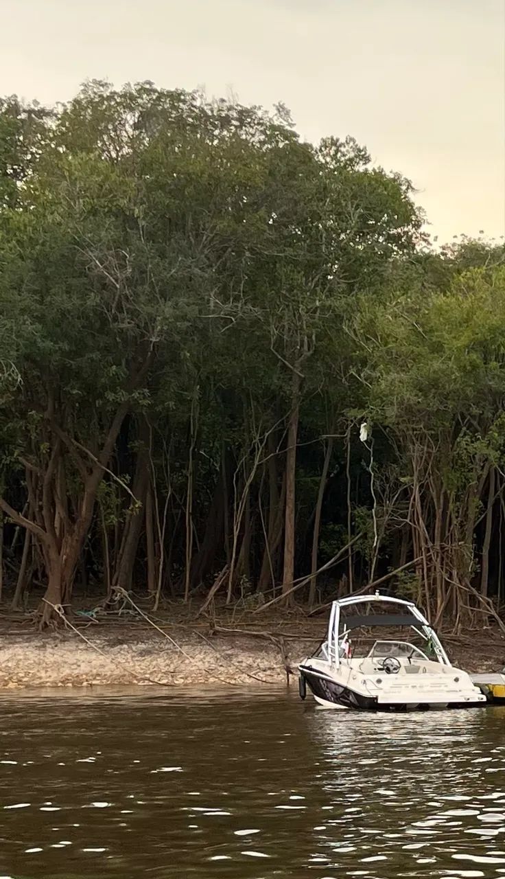 Lancha Bayliner - Foto 2
