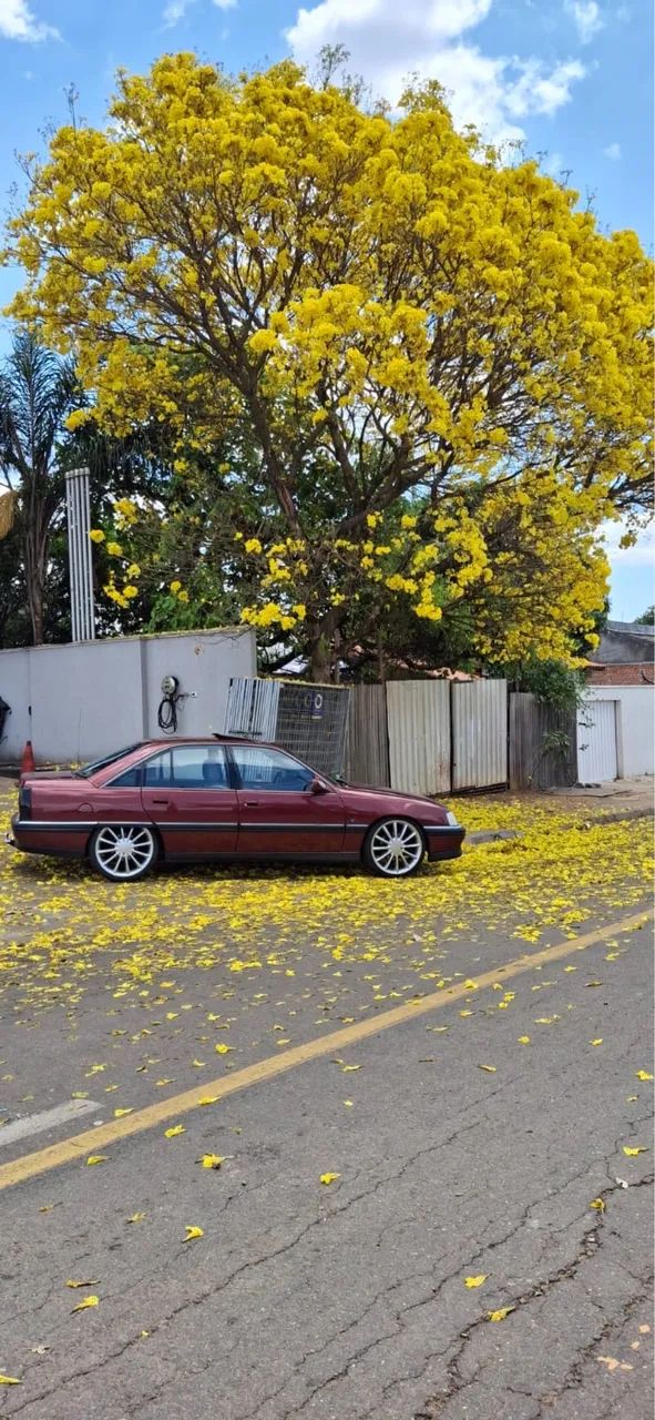 Chevrolet Omega Diamond 1994