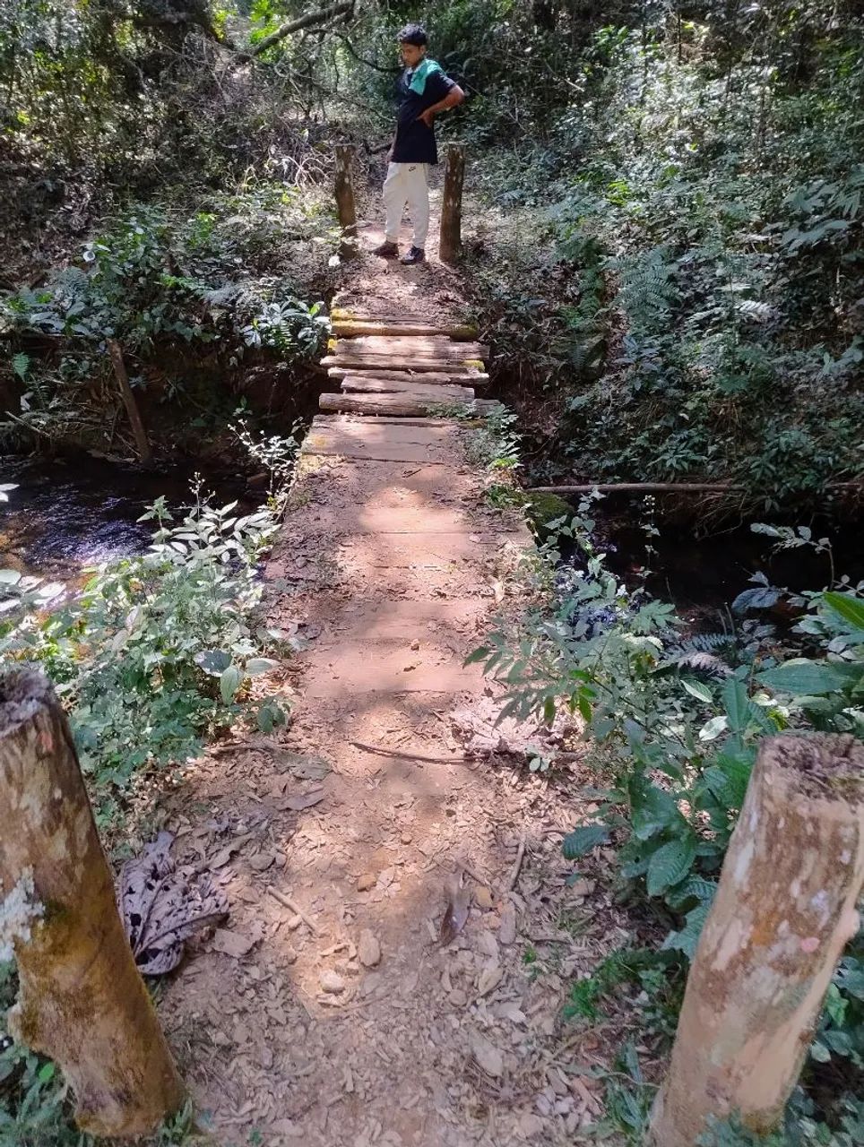 Chácara  - Foto 4