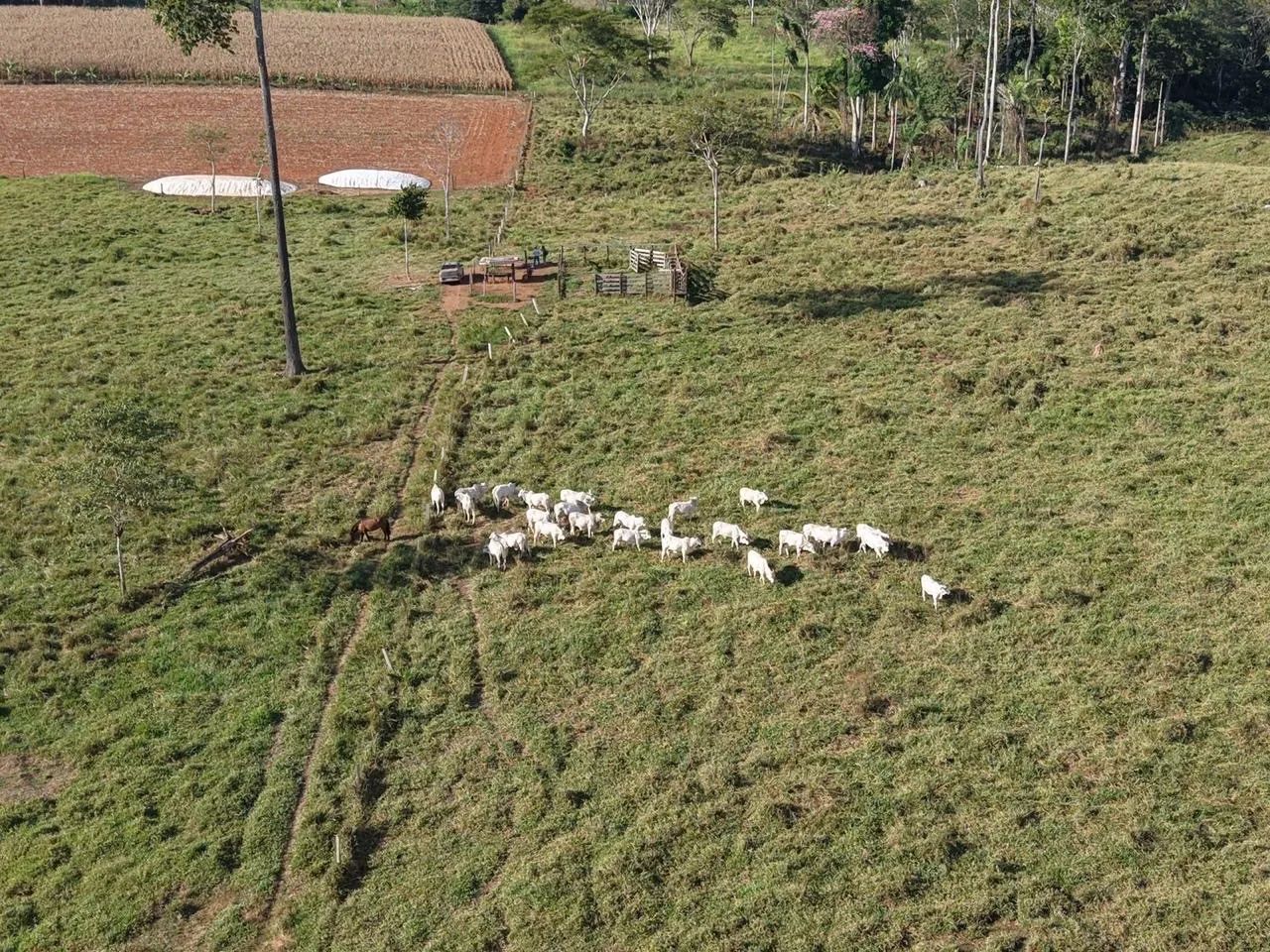 VENDE-SE CHÁCARA  - Foto 2