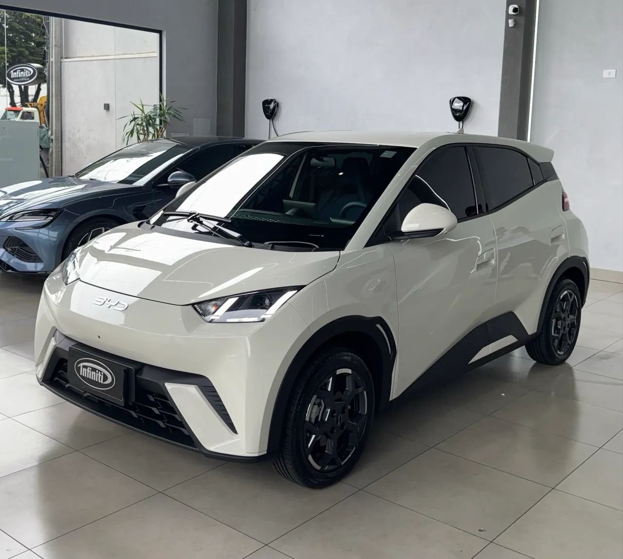 BYD Dolphin Mini (Elétrico) 2027 - Foto 4