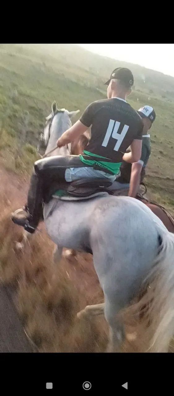 Égua de direita  - Foto 3