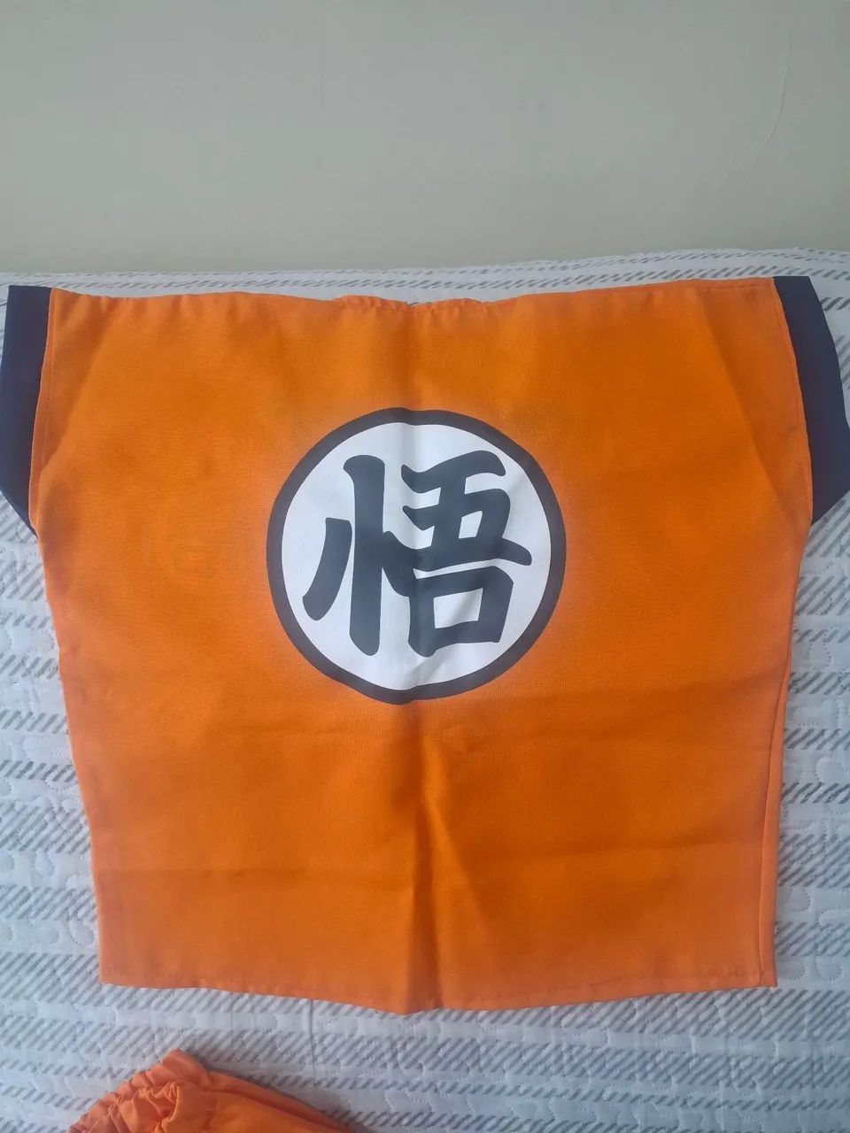 Fantasia Goku - Foto 2