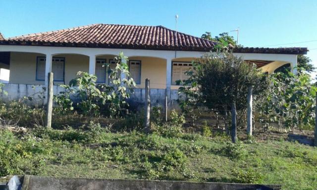 Fazenda para venda em nova viçosa, distrito de argolo - Foto 3