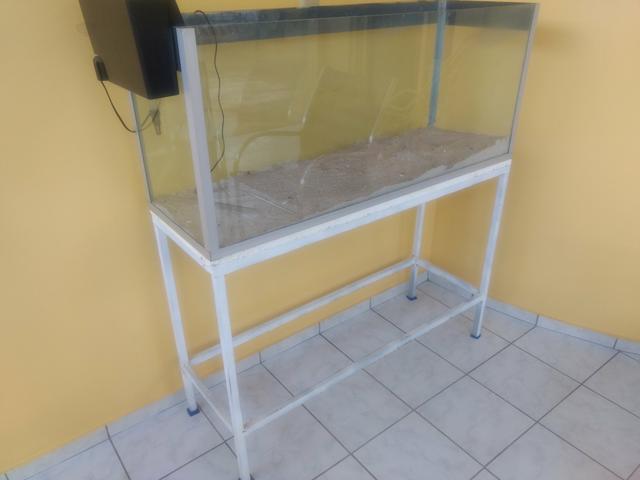 Aquário Completo Negociável - Foto 2